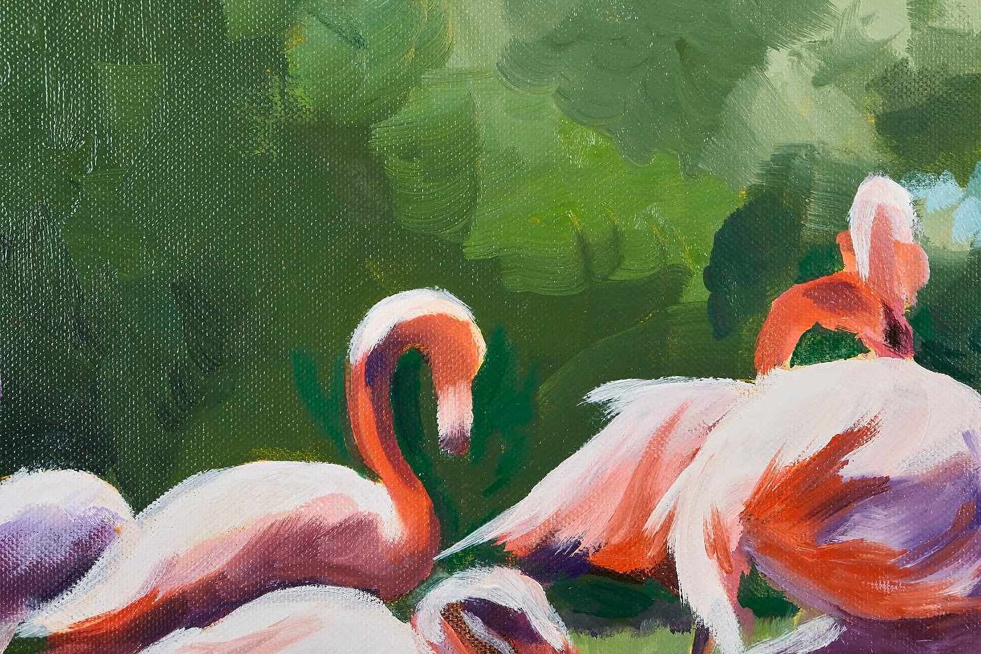 Flamingos