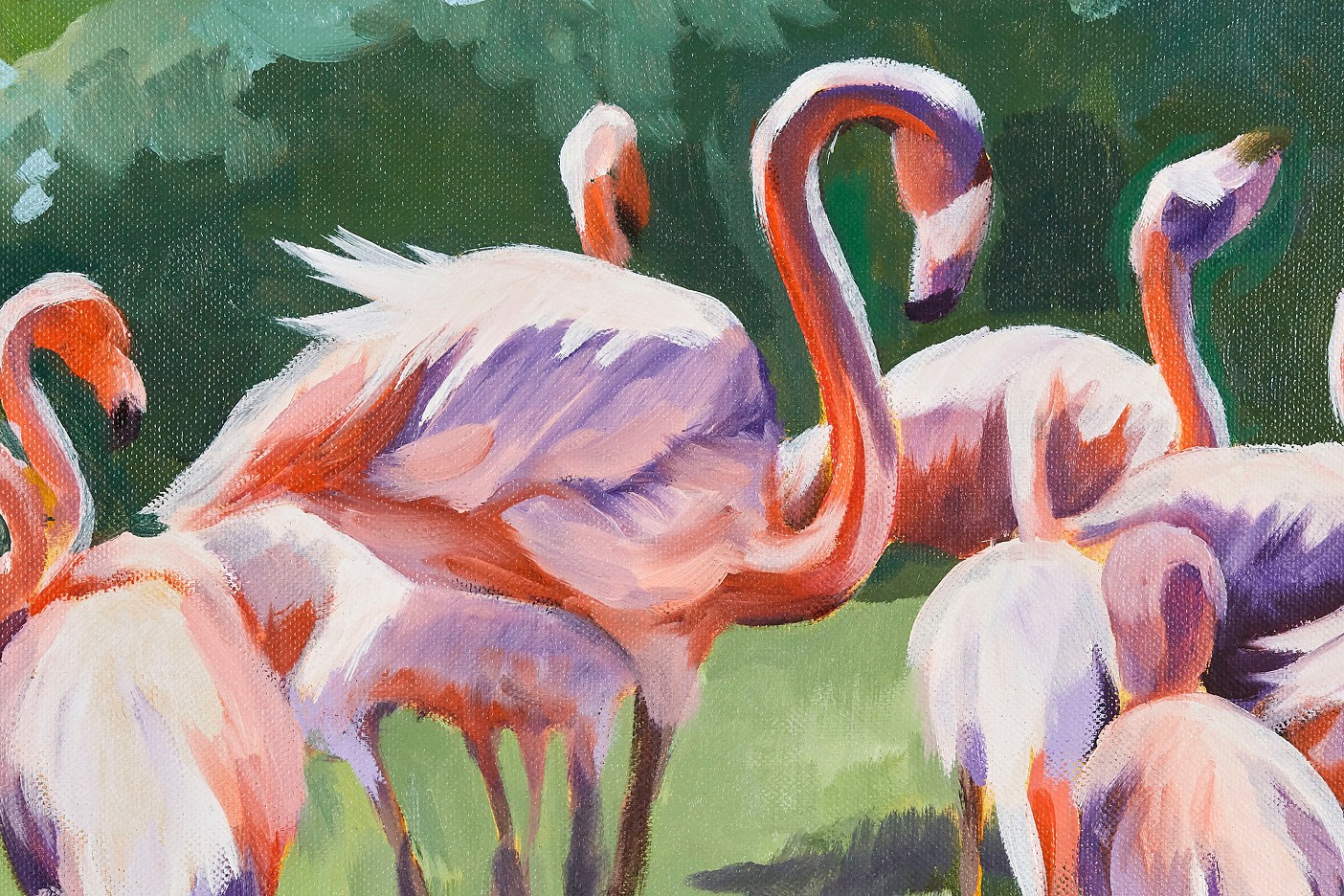 Flamingos