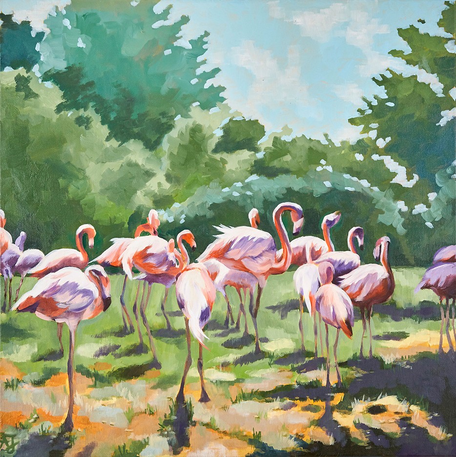 Flamingos