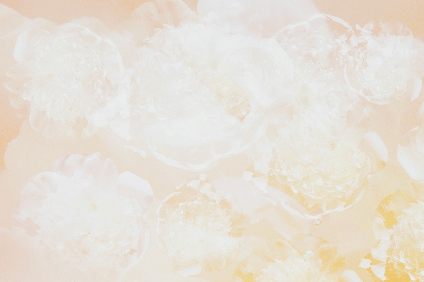 Flower Explosion
