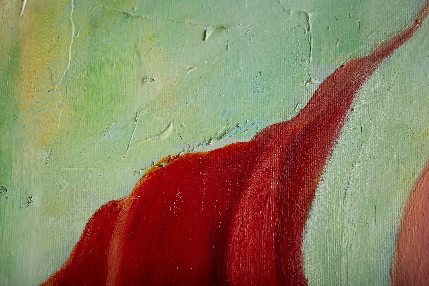 Rote Calla