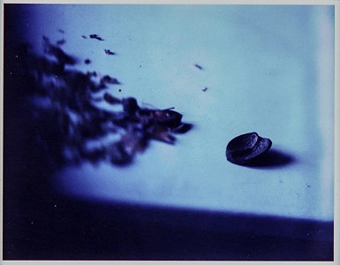 Kunstwerk Bild