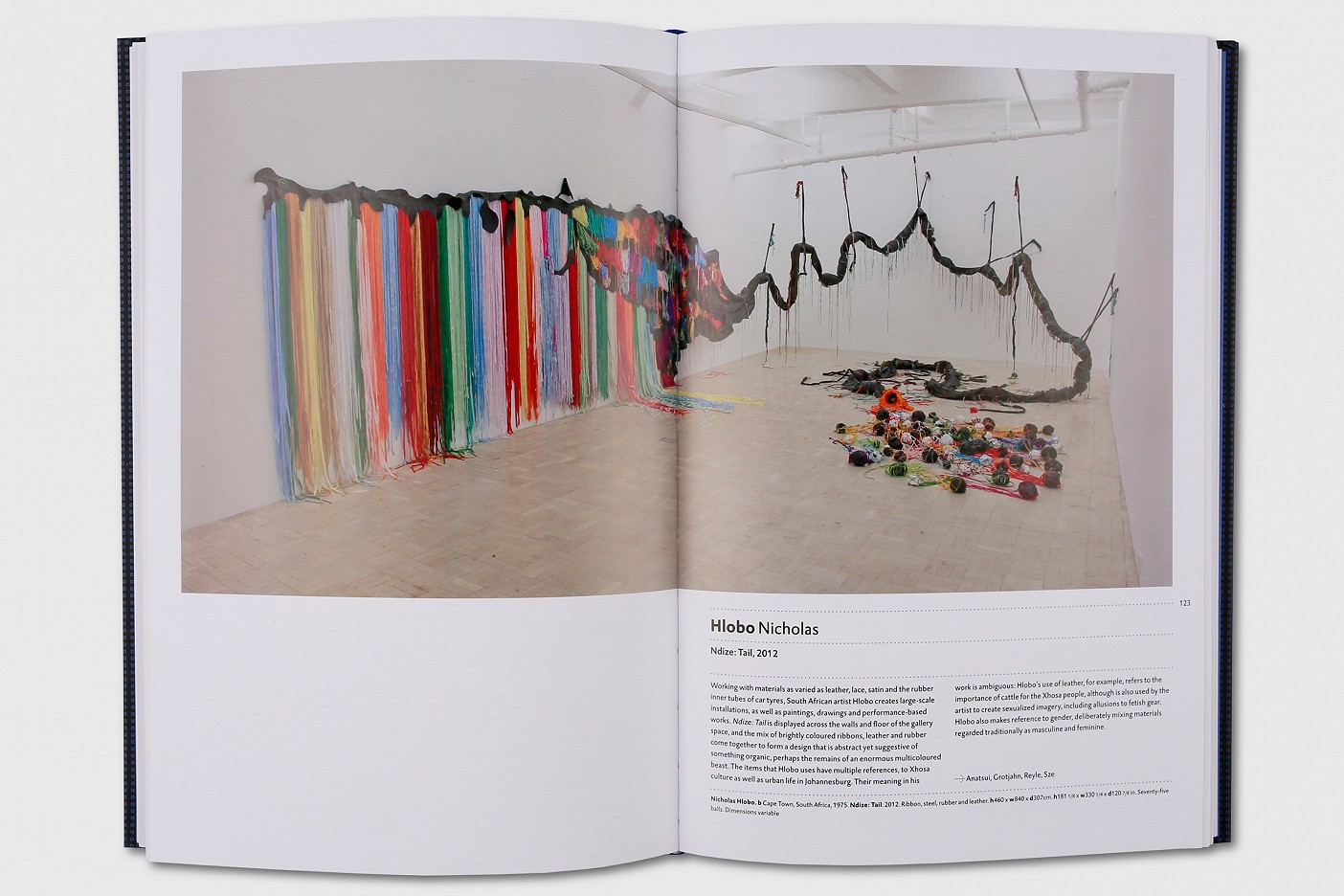 The Twenty First Century Art Book