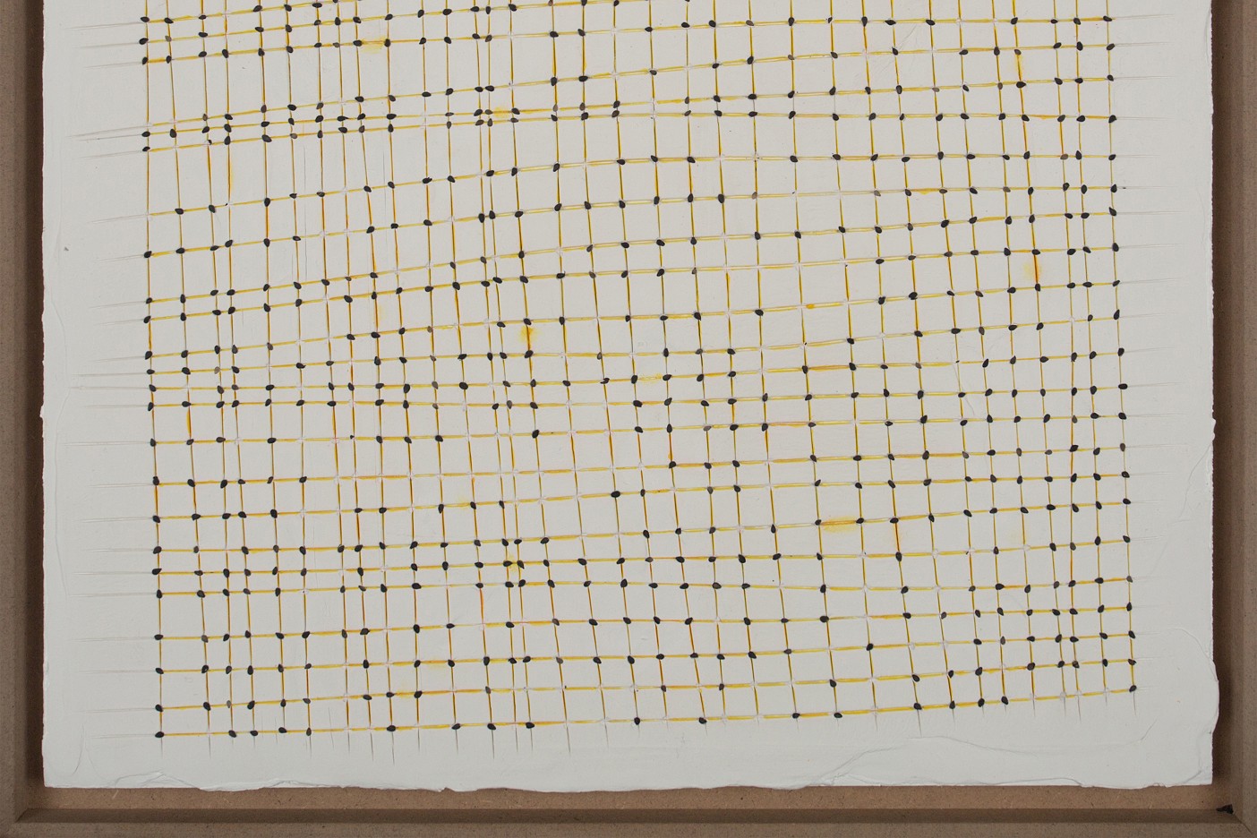 seeds