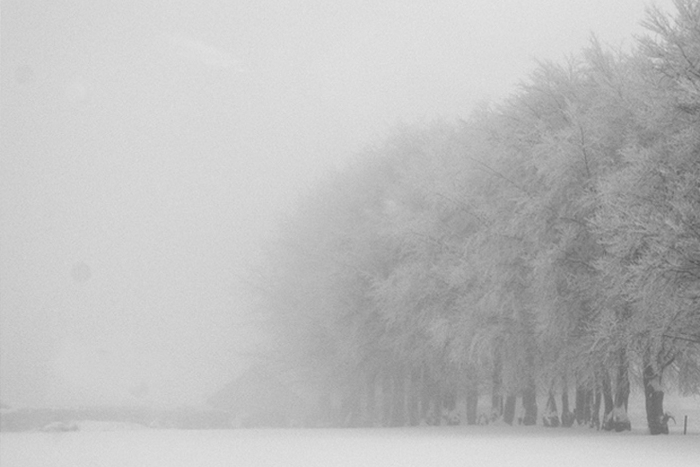 Winterimpression