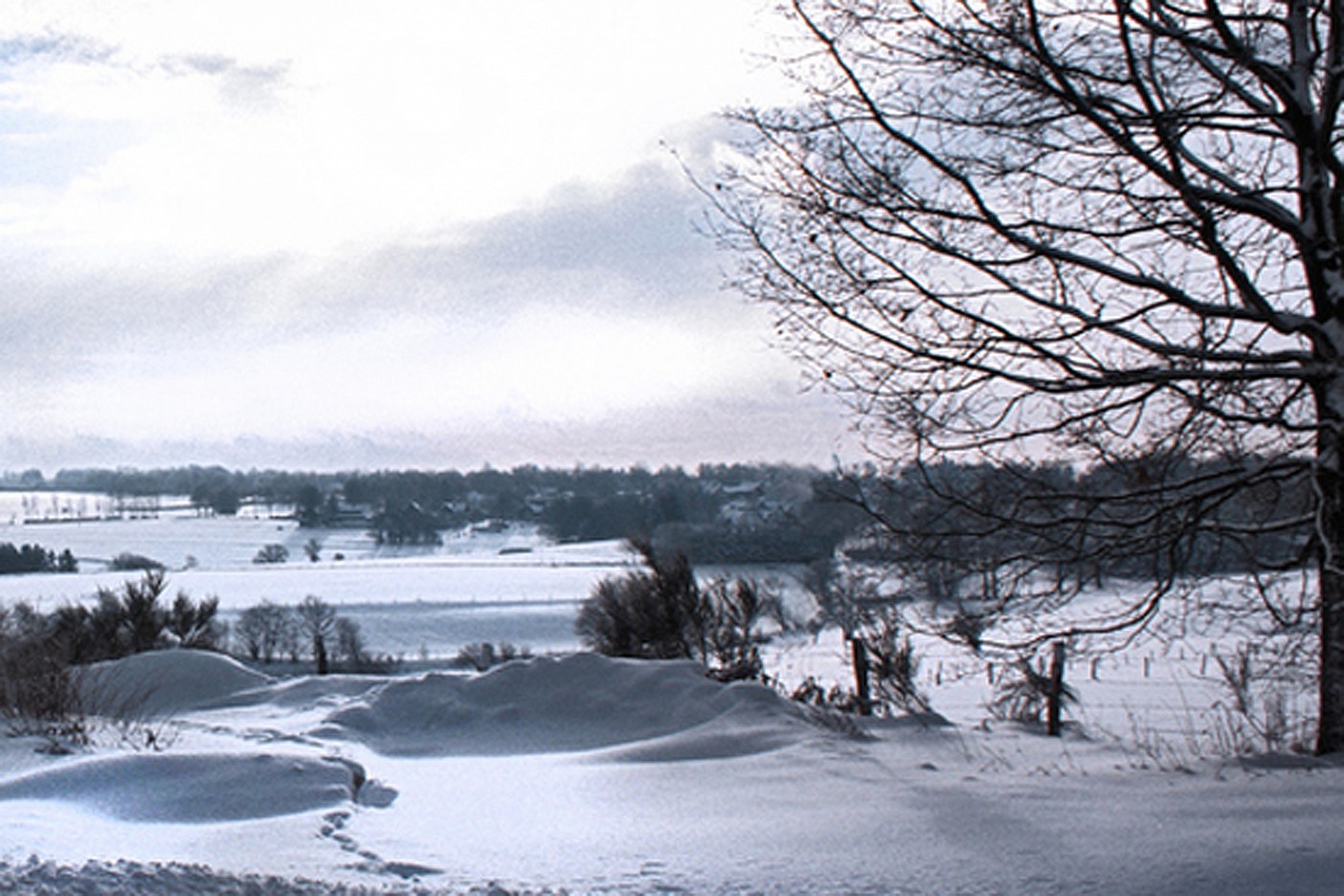 Winterblick