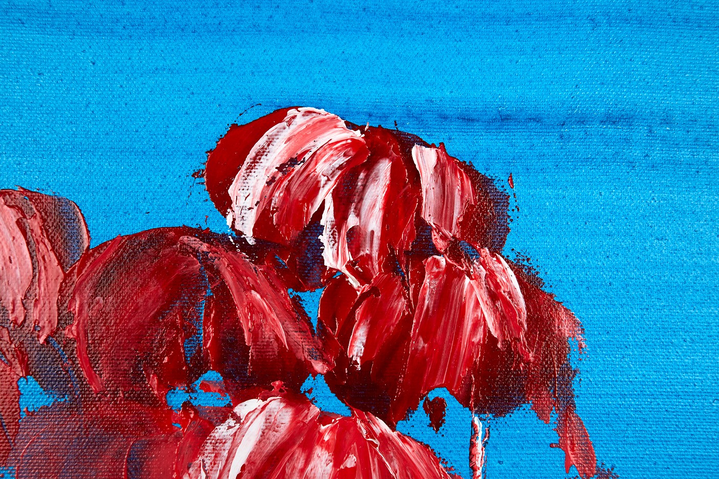 Flamingos