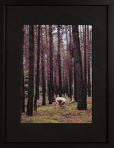 Kunstdruck Bild