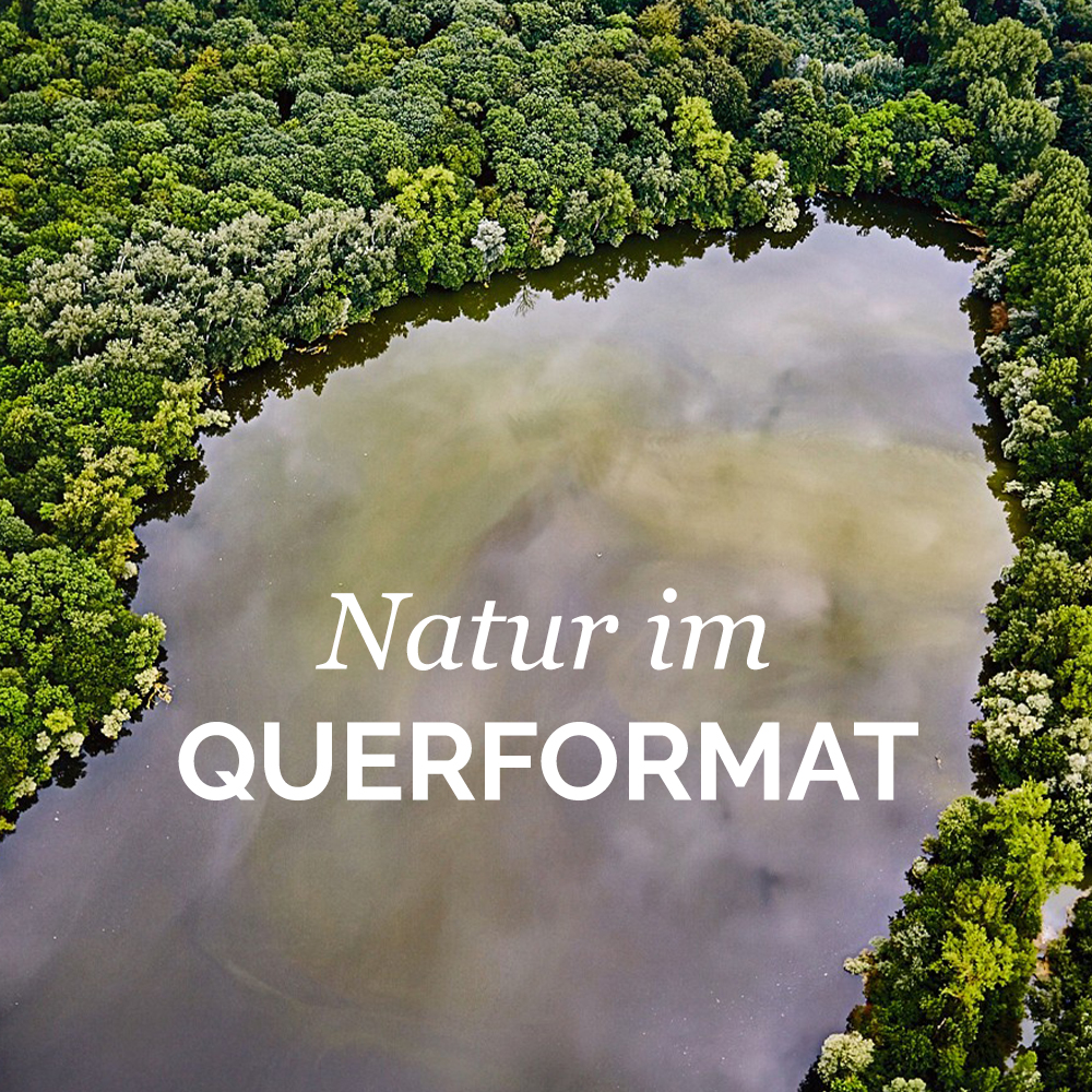 Naturbilder im Querformat